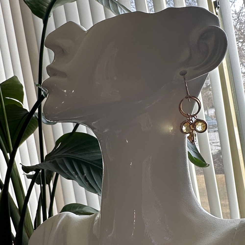 Elegant Gold / Silver Drop Earrings